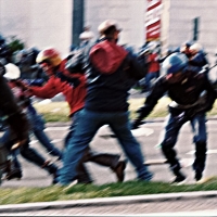manifestazio 05