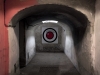img_4476-occhi-rossi-forte-prenestino-or13
