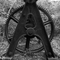 a-cquaranni