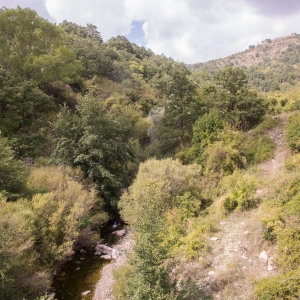 _MAQ0968