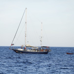 ZOE2769_w