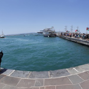 flotilla-pano-sr-copia